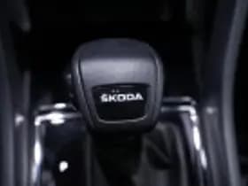 Škoda Karoq thumbnail 76