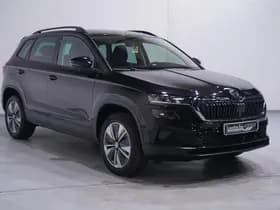Škoda Karoq thumbnail 94