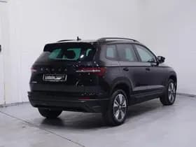 Škoda Karoq thumbnail 96