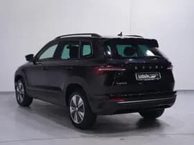 Škoda Karoq thumbnail 98