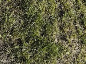 Audi A4 thumbnail 17