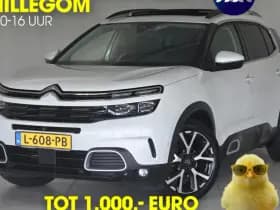 Citroën C5 Aircross 1.2 PureTech Business Plus | Trekhaak | Schuif-Kanteldak | Stoelverwarming
