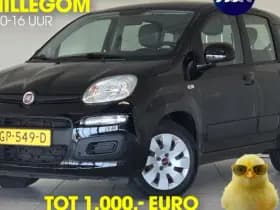 Fiat Panda 1.2 Edizione Cool | Airco | 5-Deurs | Hoge Instap