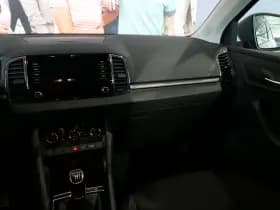 Škoda Karoq thumbnail 19
