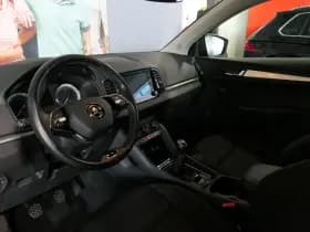 Škoda Karoq thumbnail 21