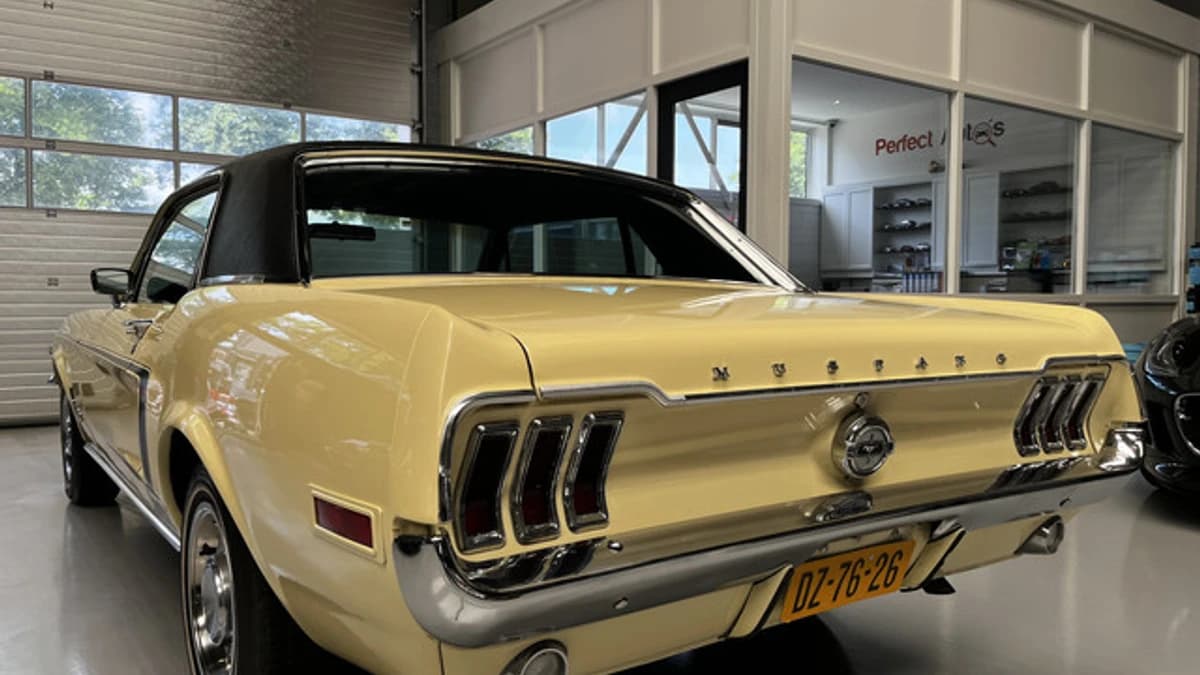 Ford Exterior Colour — foto 1