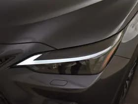 Lexus NX thumbnail 8