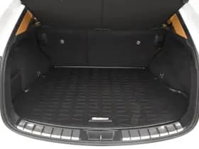 Lexus NX thumbnail 28