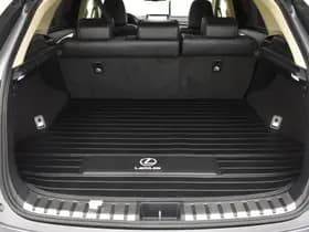Lexus NX thumbnail 31