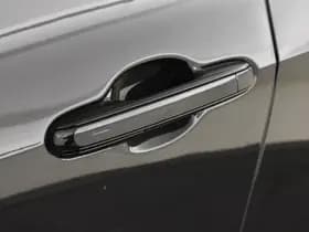 Lexus NX thumbnail 13