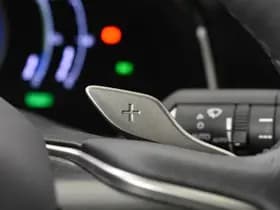 Lexus NX thumbnail 20