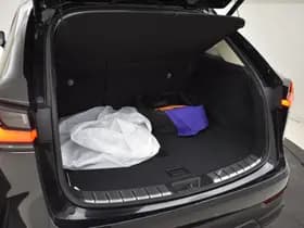 Lexus NX thumbnail 34