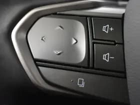 Lexus RX thumbnail 13