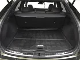 Lexus RX thumbnail 36