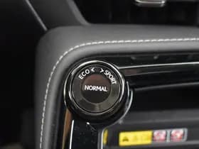 Lexus NX thumbnail 23