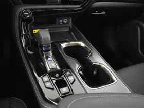 Lexus NX thumbnail 25