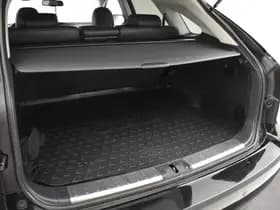 Lexus RX thumbnail 42