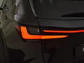Lexus NX thumbnail 10