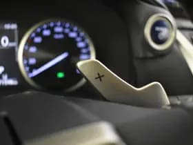 Lexus NX thumbnail 19