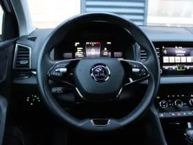Škoda Karoq thumbnail 20