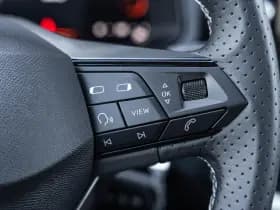 SEAT Ibiza thumbnail 23