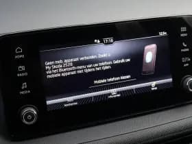 Škoda Fabia thumbnail 25