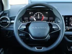 Škoda Fabia thumbnail 30