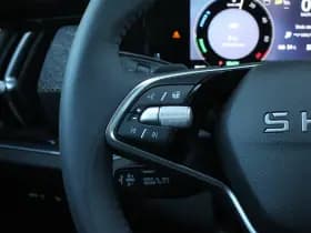 Škoda Kodiaq thumbnail 32