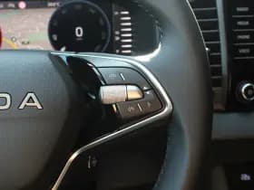 Škoda Karoq thumbnail 28