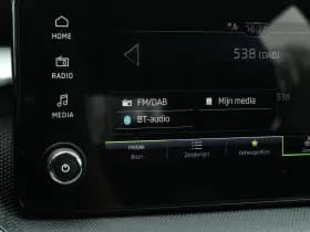 Škoda Fabia thumbnail 39