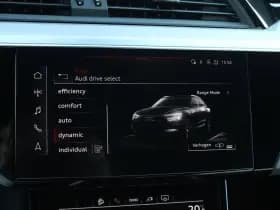 Audi Q8 e-tron thumbnail 55