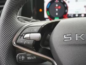 Škoda Kodiaq thumbnail 22