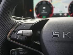 Škoda Kodiaq thumbnail 23