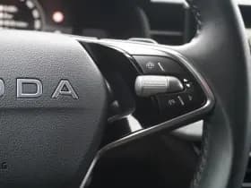 Škoda Kamiq thumbnail 21