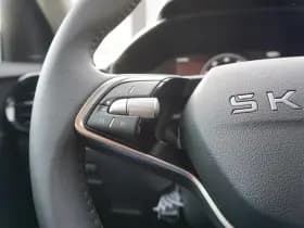 Škoda Fabia thumbnail 20