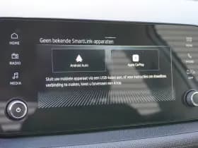 Škoda Fabia thumbnail 21