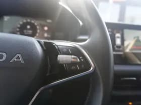 Škoda Fabia thumbnail 20