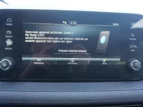 Škoda Fabia thumbnail 35