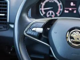Škoda Karoq thumbnail 21