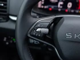 Škoda Karoq thumbnail 39