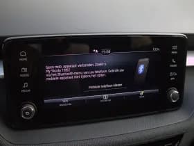 Škoda Fabia thumbnail 33