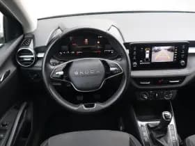 Škoda Fabia thumbnail 19