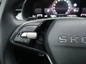 Škoda Kamiq thumbnail 22