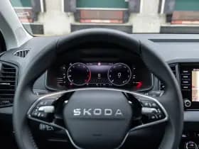 Škoda Karoq thumbnail 19