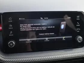 Škoda Fabia thumbnail 45