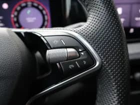 Škoda Kodiaq thumbnail 30