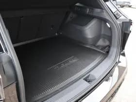 Volkswagen Tiguan thumbnail 20