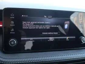 Škoda Fabia thumbnail 36