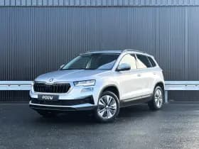 Škoda Karoq thumbnail 38