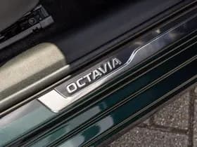Škoda Octavia thumbnail 31